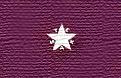Click image for larger version

Name:	republic-texas-flag_small.jpg
Views:	1
Size:	25.5 KB
ID:	558046
