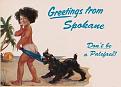 Click image for larger version

Name:	dolezal-greetings-from-spokane.jpg
Views:	1
Size:	42.6 KB
ID:	562000