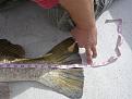 Click image for larger version

Name:	DSCN2365.JPG
Views:	71
Size:	962.8 KB
ID:	551384