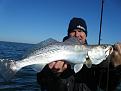 Click image for larger version

Name:	KANDBaffin 127.jpg
Views:	169
Size:	50.1 KB
ID:	556181