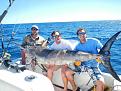 Click image for larger version

Name:	210 sword.jpg
Views:	178
Size:	79.6 KB
ID:	556386
