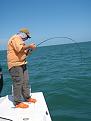 Click image for larger version

Name:	bowedup.jpg
Views:	123
Size:	177.3 KB
ID:	564766