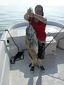 Click image for larger version

Name:	DSCN2680.JPG
Views:	72
Size:	911.7 KB
ID:	565988