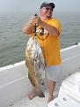 Click image for larger version

Name:	DSCN2690.JPG
Views:	71
Size:	882.7 KB
ID:	565990
