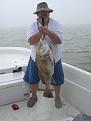 Click image for larger version

Name:	DSCN2696.JPG
Views:	70
Size:	958.1 KB
ID:	565991