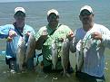 Click image for larger version

Name:	IMG00017-20100730-1312.jpg
Views:	50
Size:	754.3 KB
ID:	566705