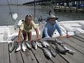 Click image for larger version

Name:	IMGP1532_resize.JPG
Views:	109
Size:	166.1 KB
ID:	569591