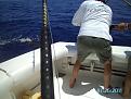 Click image for larger version

Name:	donaken trips 016.JPG
Views:	123
Size:	6.14 MB
ID:	569956