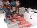 Click image for larger version

Name:	Offshore 7-16-2011 097.JPG
Views:	85
Size:	2.58 MB
ID:	570018