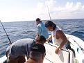 Click image for larger version

Name:	Offshore 7-16-2011 048.JPG
Views:	92
Size:	2.86 MB
ID:	570021