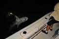 Click image for larger version

Name:	offshore night@v.a.Fogg 081511 014.JPG
Views:	62
Size:	2.64 MB
ID:	570034