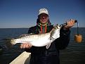 Click image for larger version

Name:	KANDBaffin 035.jpg
Views:	177
Size:	44.9 KB
ID:	571021