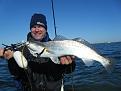 Click image for larger version

Name:	KANDBaffin 128.jpg
Views:	174
Size:	49.3 KB
ID:	571022
