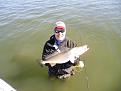 Click image for larger version

Name:	KANDBaffin 031.jpg
Views:	177
Size:	44.4 KB
ID:	571023