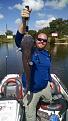Click image for larger version

Name:	Catfish.jpg
Views:	104
Size:	38.2 KB
ID:	577015