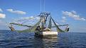 shrimpboat we fished for tuna