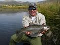 Colorado trout on the fly