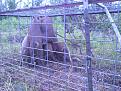 Photo0110