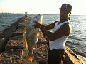 ONE OF MY GOOD FISHING BUDDY