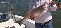 red fish eastbay