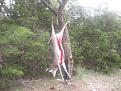 8pt 2011 007