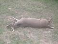 8pt 2011 005