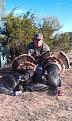 turkeys
