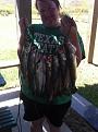 Speckle and sand trout