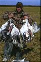 GEESE5
