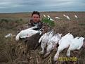 GEESE3