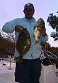 flounder