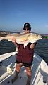 Red Fish  Jetties